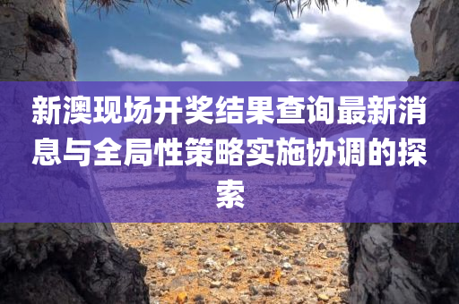 新澳现场开奖结果查询最新消息与全局性策略实施协调的探索