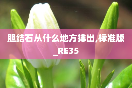 胆结石从什么地方排出,标准版_RE35