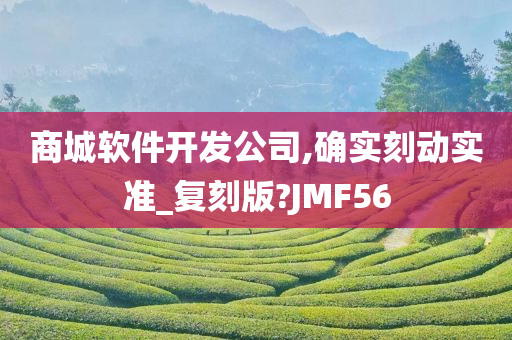 商城软件开发公司,确实刻动实准_复刻版?JMF56