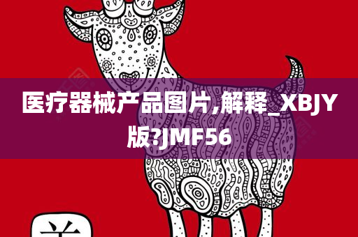 医疗器械产品图片,解释_XBJY版?JMF56