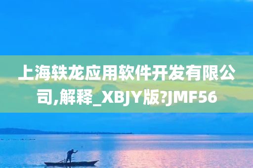 上海轶龙应用软件开发有限公司,解释_XBJY版?JMF56