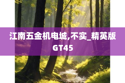 江南五金机电城,不实_精英版GT45