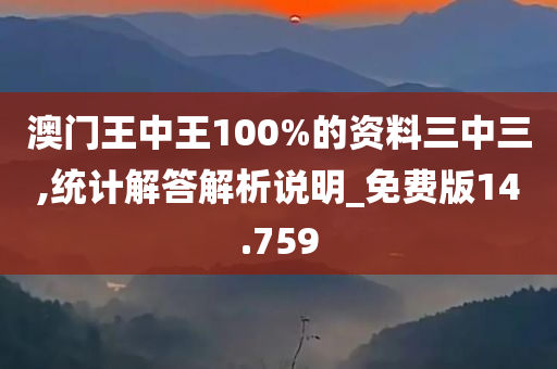 澳门王中王100%的资料三中三,统计解答解析说明_免费版14.759