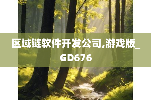 区域链软件开发公司,游戏版_GD676