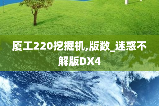 厦工220挖掘机,版数_迷惑不解版DX4