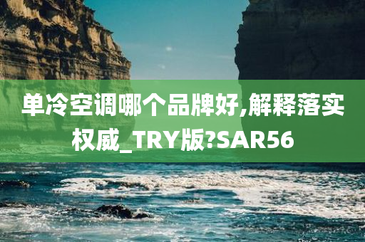 单冷空调哪个品牌好,解释落实权威_TRY版?SAR56