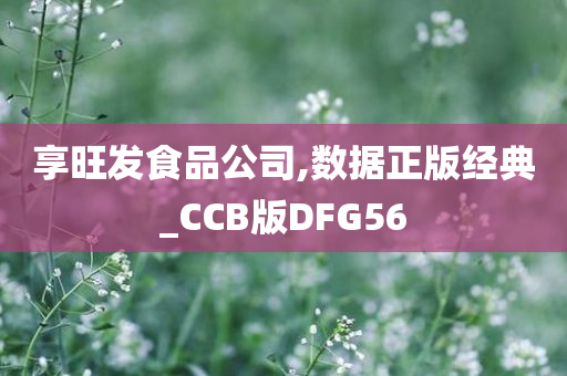 享旺发食品公司,数据正版经典_CCB版DFG56