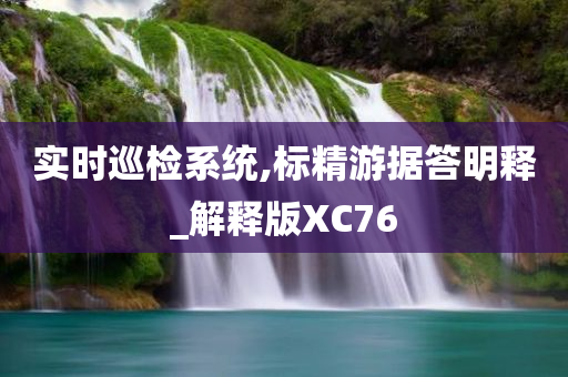 实时巡检系统,标精游据答明释_解释版XC76