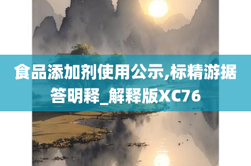 食品添加剂使用公示,标精游据答明释_解释版XC76