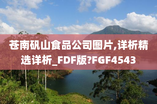 苍南矾山食品公司图片,详析精选详析_FDF版?FGF4543