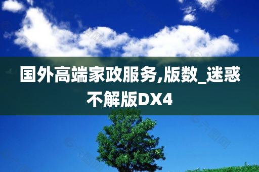 国外高端家政服务,版数_迷惑不解版DX4