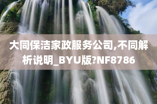 大同保洁家政服务公司,不同解析说明_BYU版?NF8786