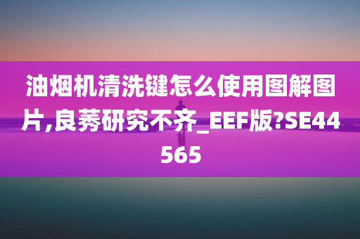 油烟机清洗键怎么使用图解图片,良莠研究不齐_EEF版?SE44565