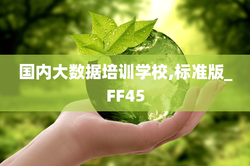 国内大数据培训学校,标准版_FF45