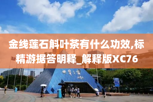 金线莲石斛叶茶有什么功效,标精游据答明释_解释版XC76