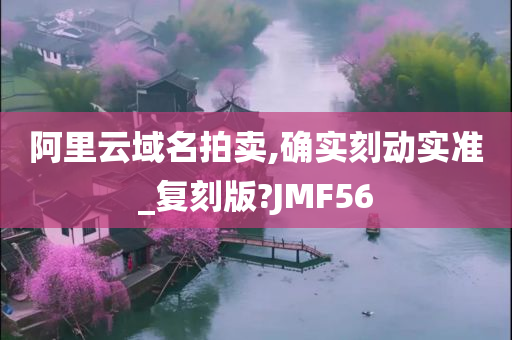 阿里云域名拍卖,确实刻动实准_复刻版?JMF56