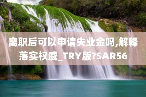 离职后可以申请失业金吗,解释落实权威_TRY版?SAR56