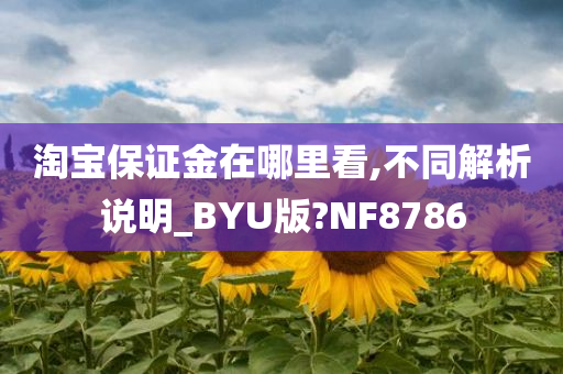 淘宝保证金在哪里看,不同解析说明_BYU版?NF8786