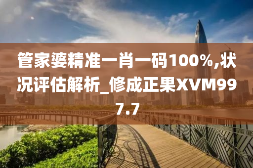 管家婆精准一肖一码100%,状况评估解析_修成正果XVM997.7