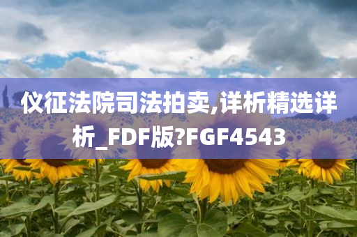 仪征法院司法拍卖,详析精选详析_FDF版?FGF4543