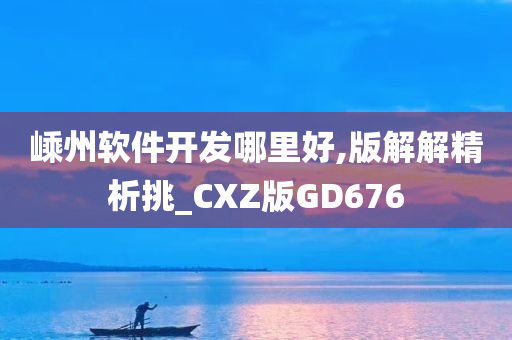 嵊州软件开发哪里好,版解解精析挑_CXZ版GD676