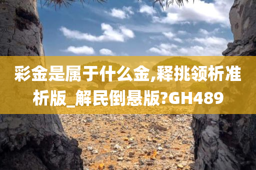 彩金是属于什么金,释挑领析准析版_解民倒悬版?GH489