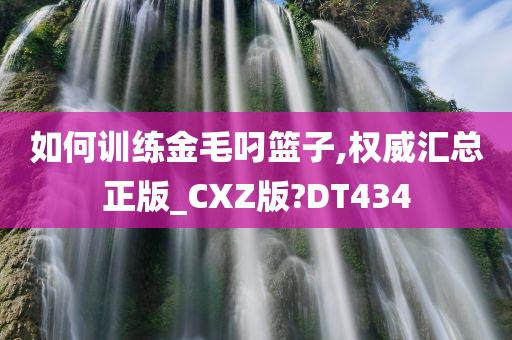 如何训练金毛叼篮子,权威汇总正版_CXZ版?DT434