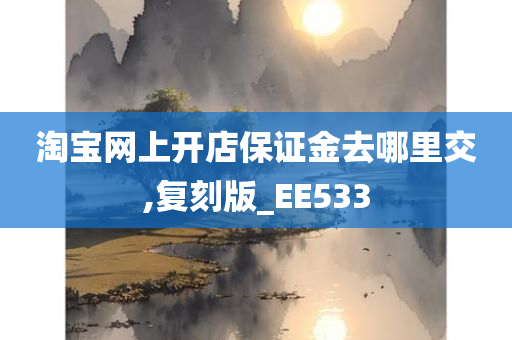 淘宝网上开店保证金去哪里交,复刻版_EE533