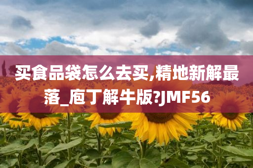 买食品袋怎么去买,精地新解最落_庖丁解牛版?JMF56