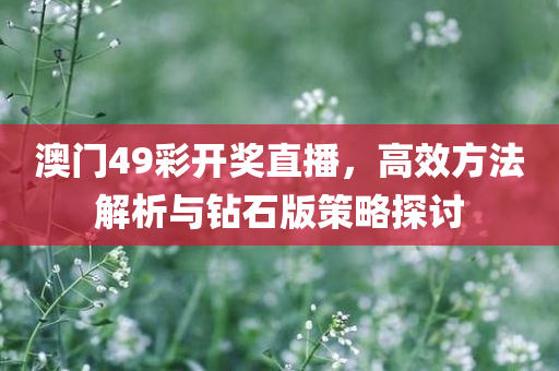 澳门49彩开奖直播，高效方法解析与钻石版策略探讨