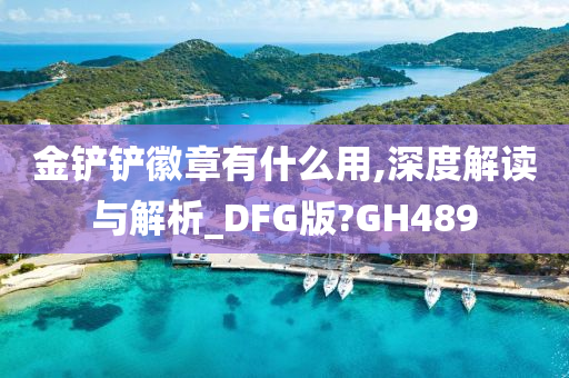 金铲铲徽章有什么用,深度解读与解析_DFG版?GH489