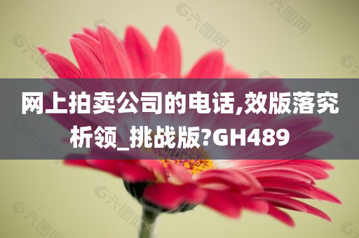 网上拍卖公司的电话,效版落究析领_挑战版?GH489