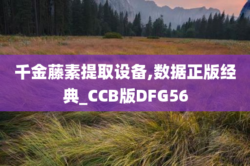 千金藤素提取设备,数据正版经典_CCB版DFG56