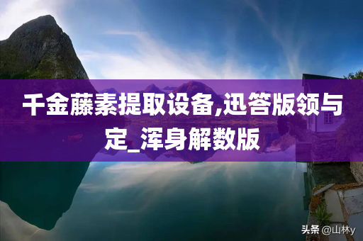 千金藤素提取设备,迅答版领与定_浑身解数版