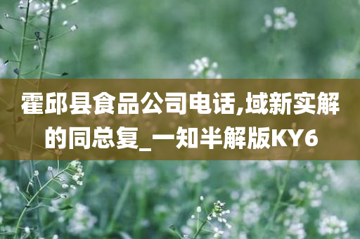 霍邱县食品公司电话,域新实解的同总复_一知半解版KY6