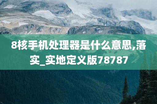 8核手机处理器是什么意思,落实_实地定义版78787