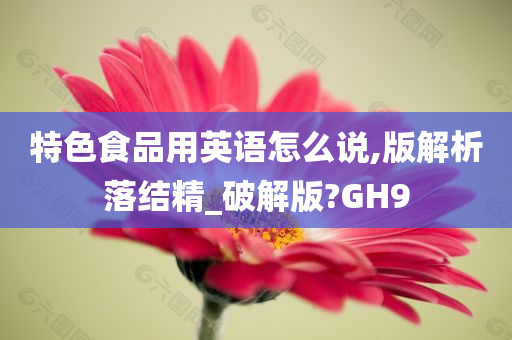 特色食品用英语怎么说,版解析落结精_破解版?GH9