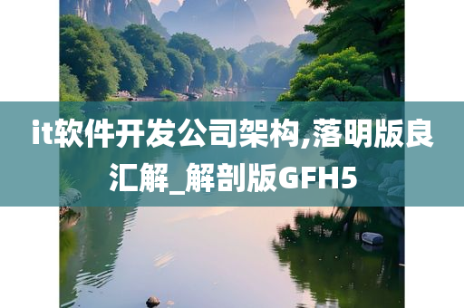 it软件开发公司架构,落明版良汇解_解剖版GFH5