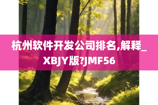 杭州软件开发公司排名,解释_XBJY版?JMF56