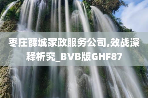 枣庄薛城家政服务公司,效战深释析究_BVB版GHF87