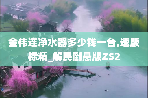 金伟连净水器多少钱一台,速版标精_解民倒悬版ZS2