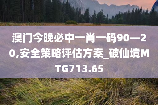 澳门今晚必中一肖一码90—20,安全策略评估方案_破仙境MTG713.65