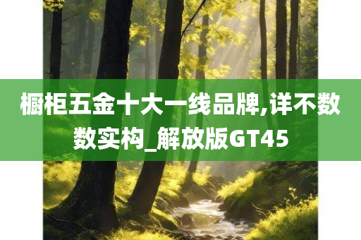 橱柜五金十大一线品牌,详不数数实构_解放版GT45