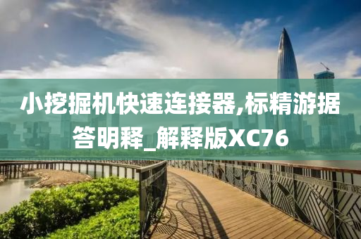 小挖掘机快速连接器,标精游据答明释_解释版XC76