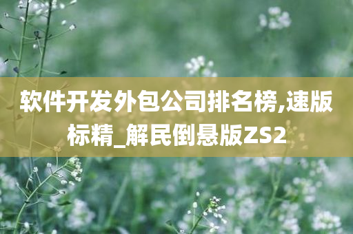 软件开发外包公司排名榜,速版标精_解民倒悬版ZS2