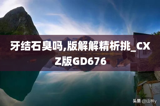 牙结石臭吗,版解解精析挑_CXZ版GD676