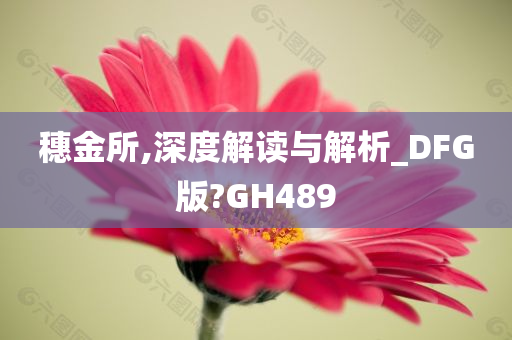 穗金所,深度解读与解析_DFG版?GH489