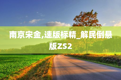 南京宋金,速版标精_解民倒悬版ZS2