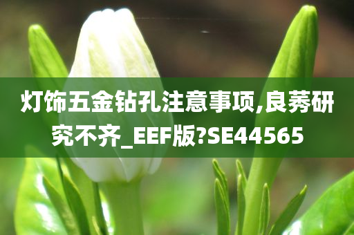 灯饰五金钻孔注意事项,良莠研究不齐_EEF版?SE44565