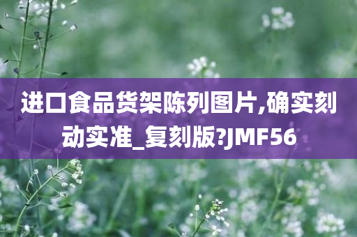 进口食品货架陈列图片,确实刻动实准_复刻版?JMF56